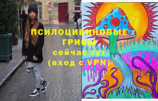 бошки Аркадак