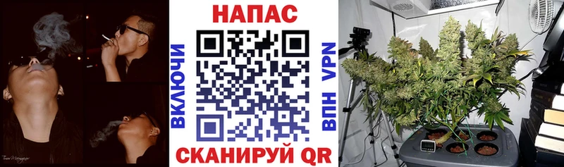 Канабис семена  blacksprut   Сортавала  где купить наркоту 